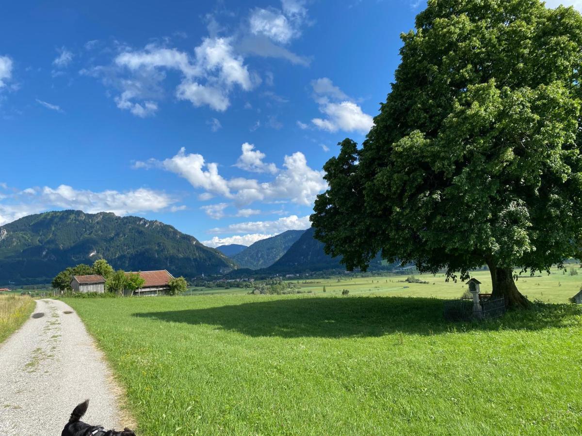 Im- Oberland - Berg - Koenigscard Apartment Bad Kohlgrub Luaran gambar